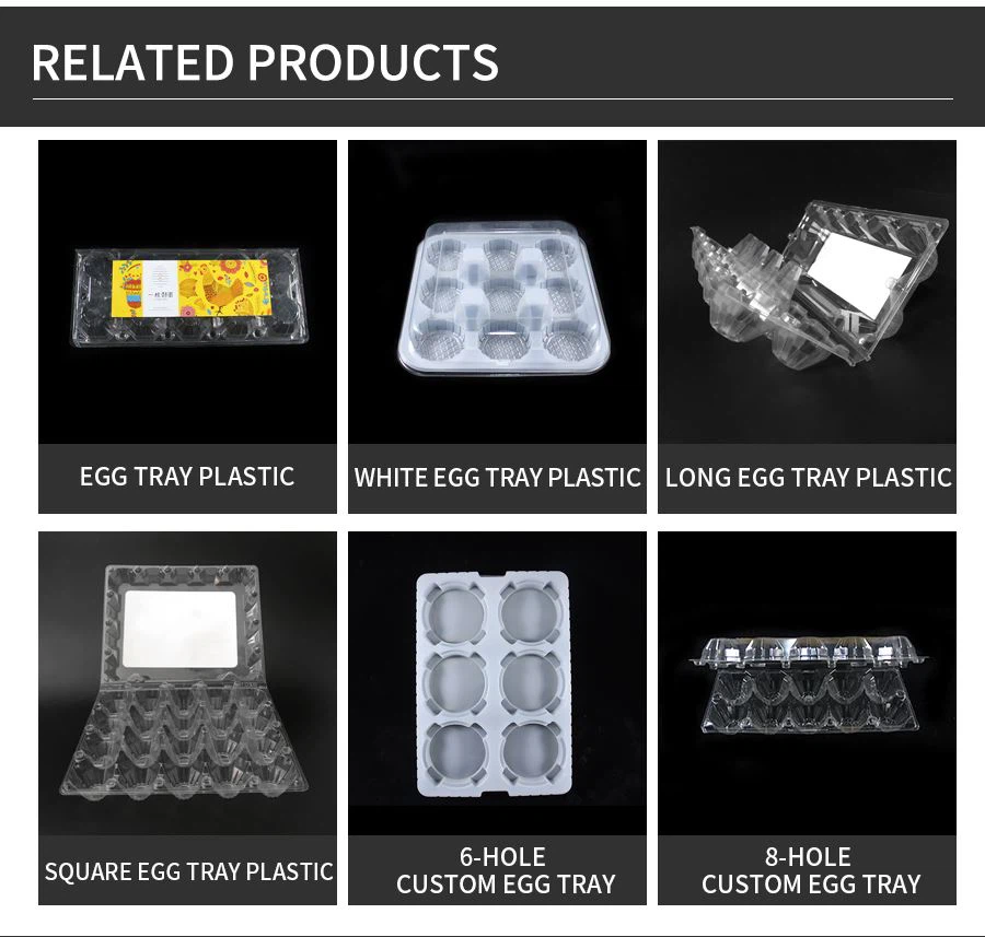 egg packaging tray